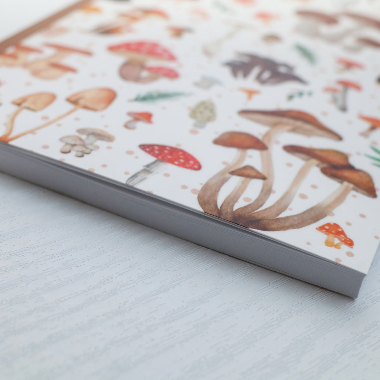 Mushroom Sketchbook & Notebook