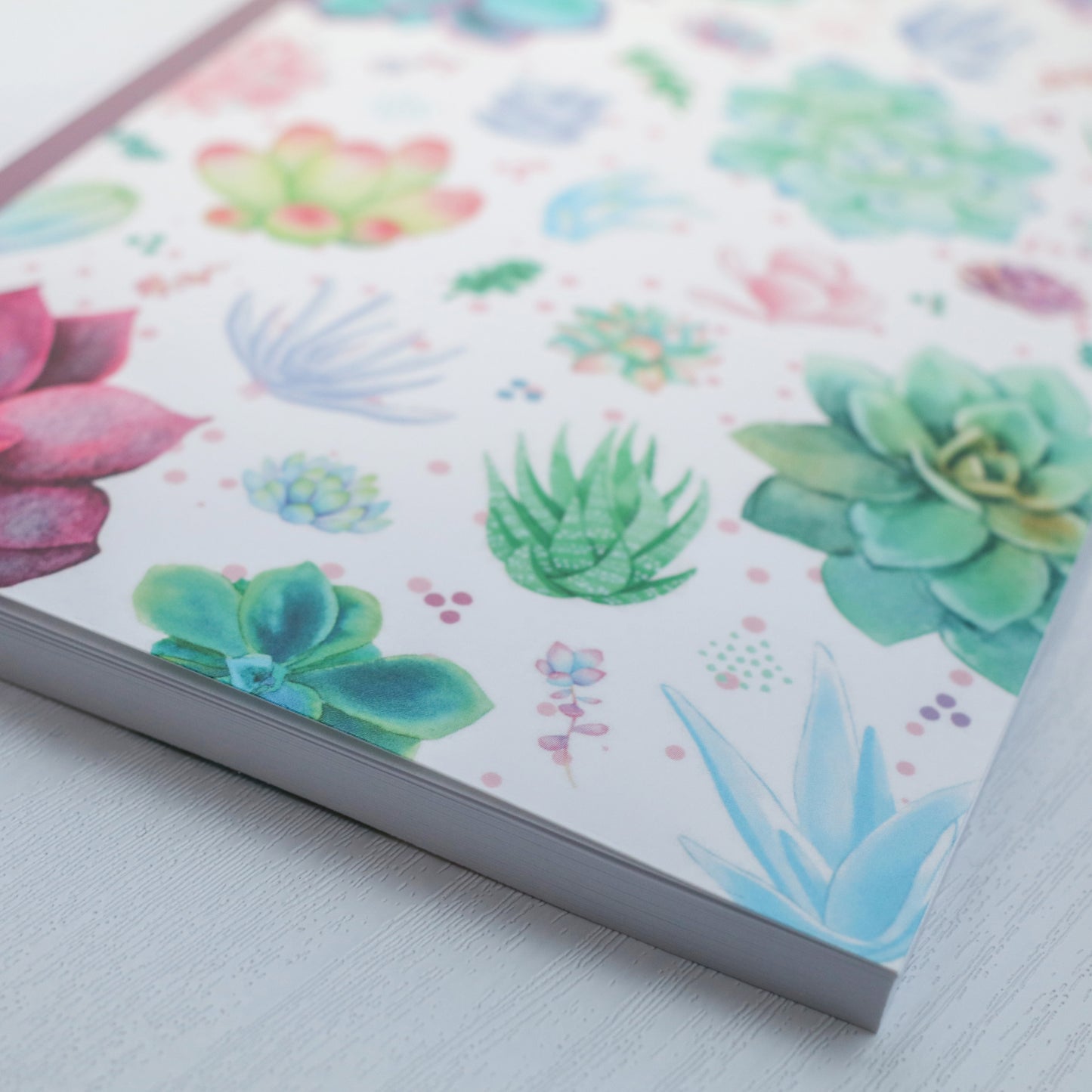 Succulent Sketchbook & Notebook