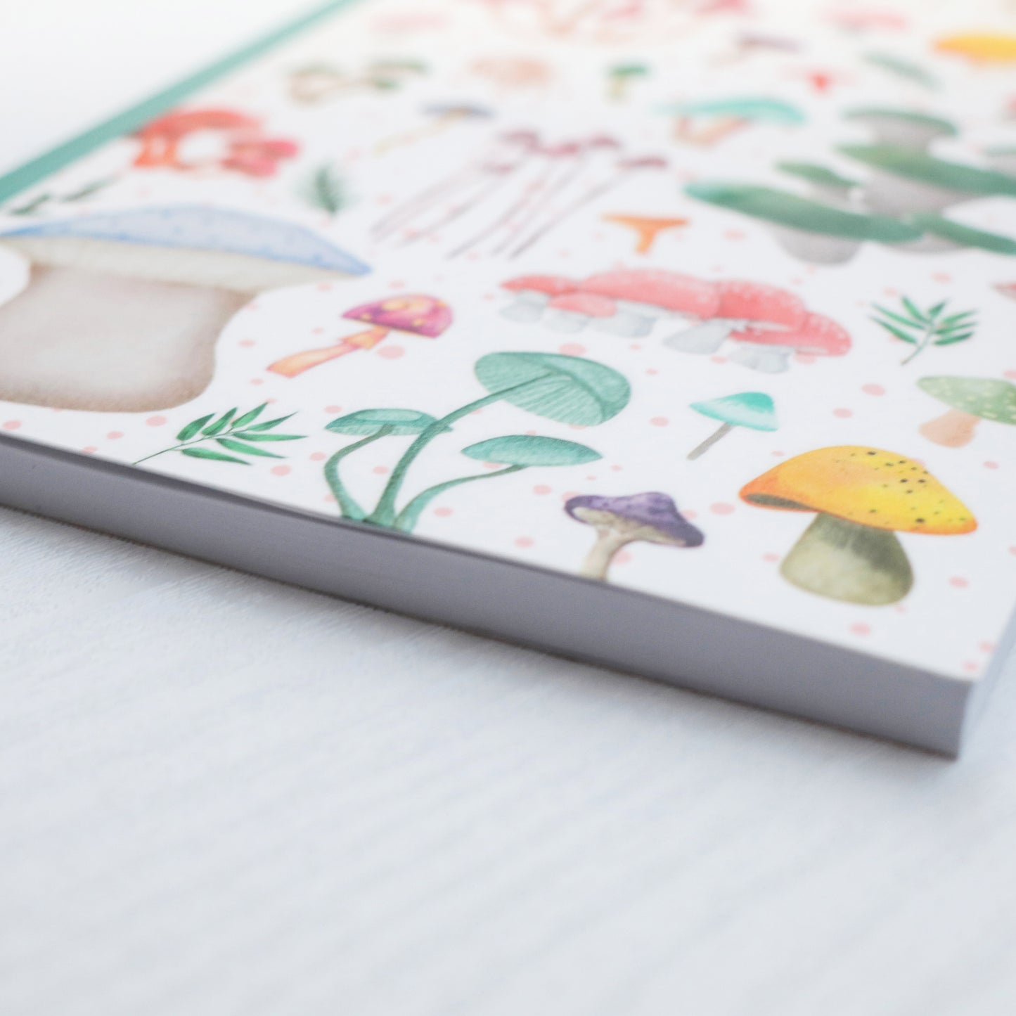 Colorful Mushroom Sketchbook & Notebook
