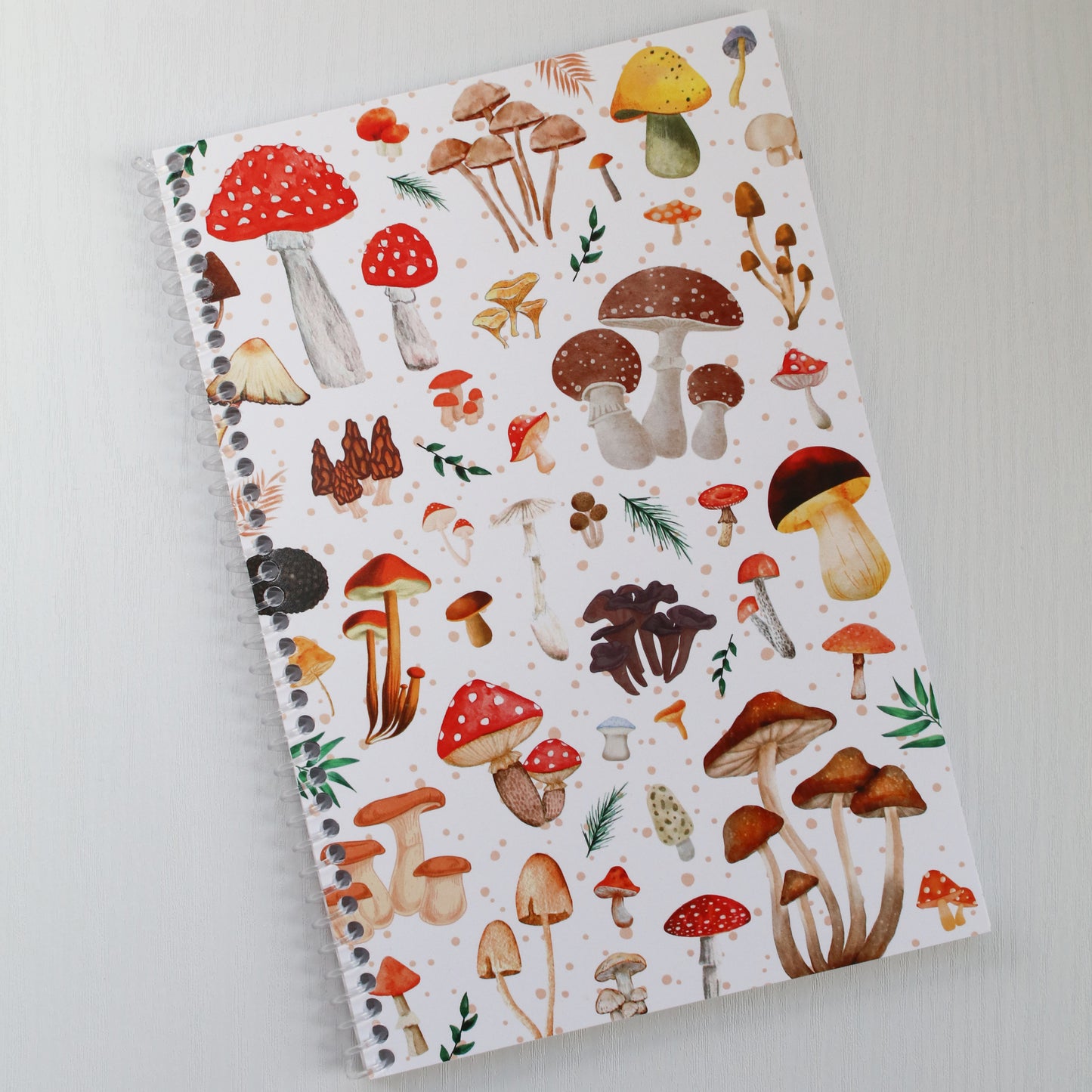 Mushroom Sketchbook & Notebook